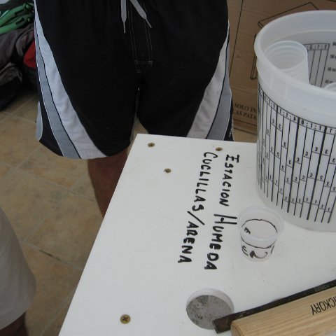 cozumelcoralpropproject2007javertake 164